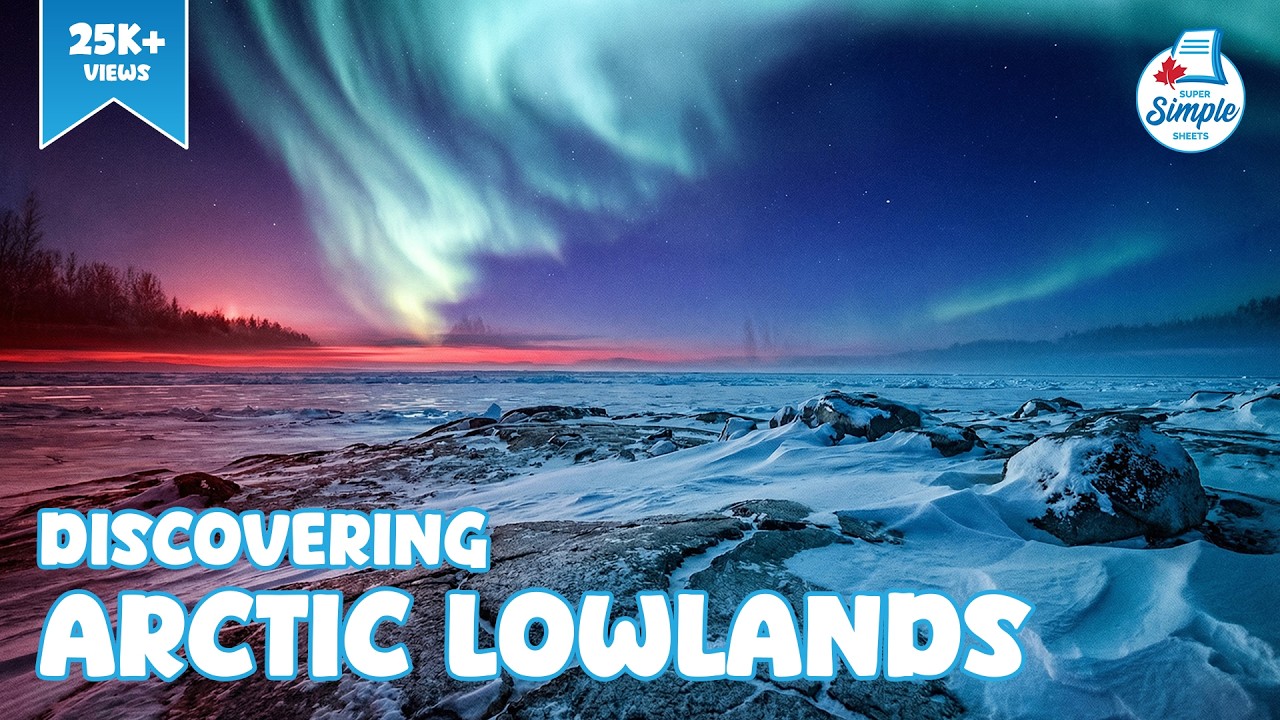 Arctic Lowlands - The Regions of Canada - Social Studies