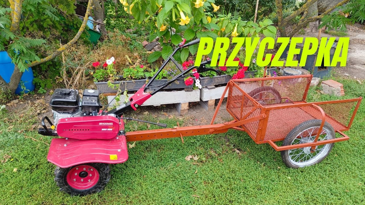 Przyczepka do glebogryzarki (Hortmasz HGS 900), wrześniowy warzywnik i dynia bezłupinowa