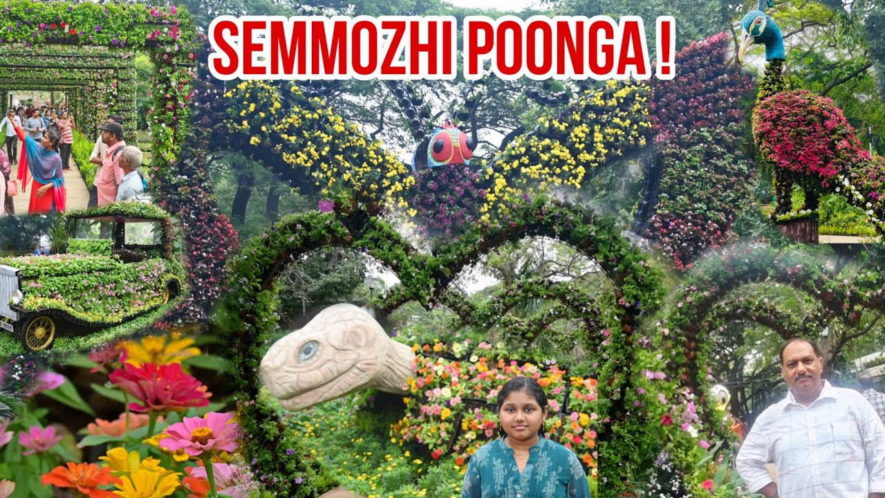 Flower Show 2025 | Semmozhi Poonga Chennai | Chennai's Ooty