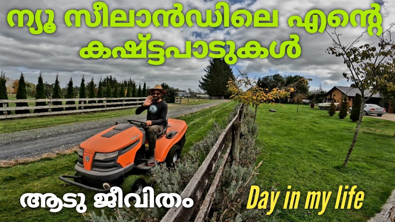 ന്യൂ സിലാന്ഡിലെ തിരക്കു പിടിച്ച ജീവിതം | House Price| New Zealand Life | New Zealand Mallu