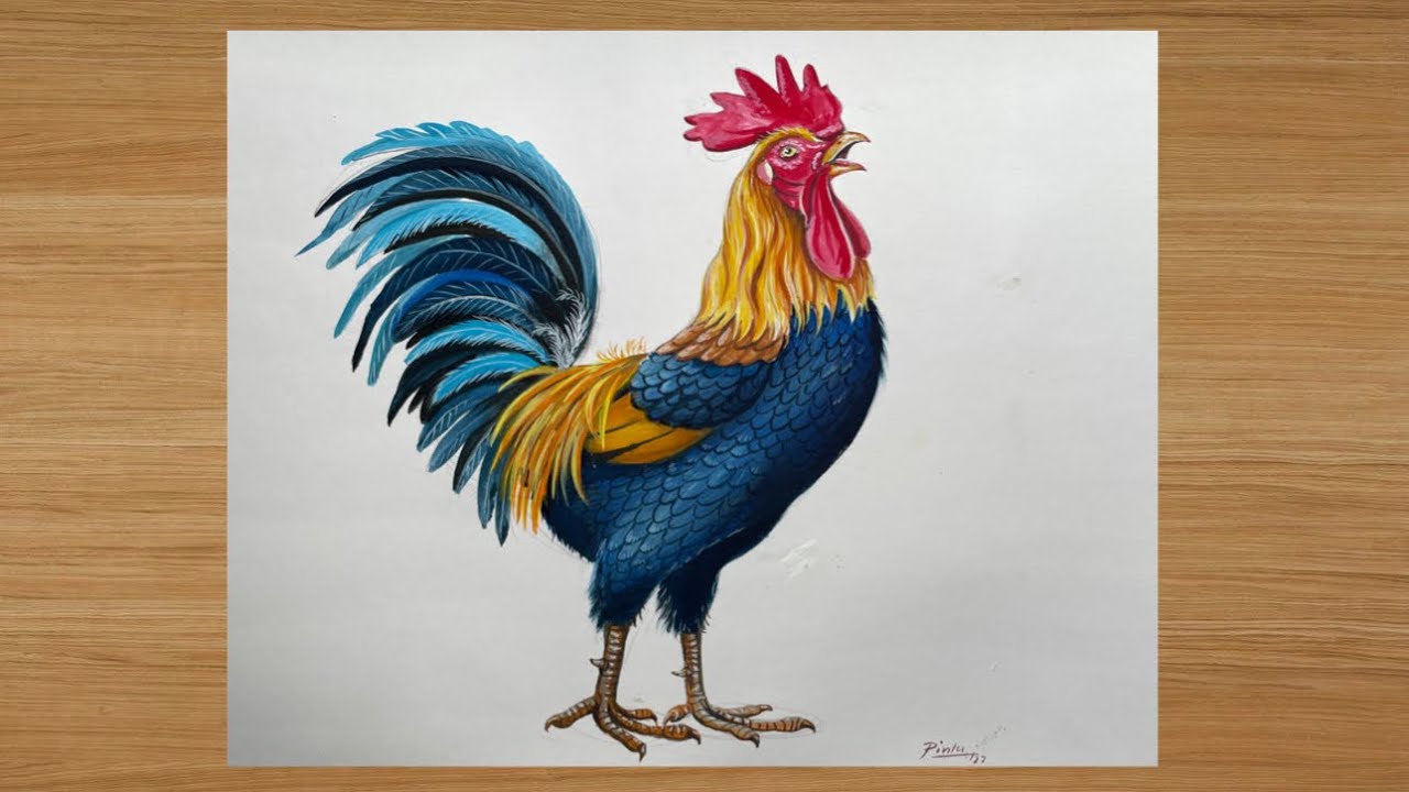 How to draw a cock | Rooster | Poster colour painting