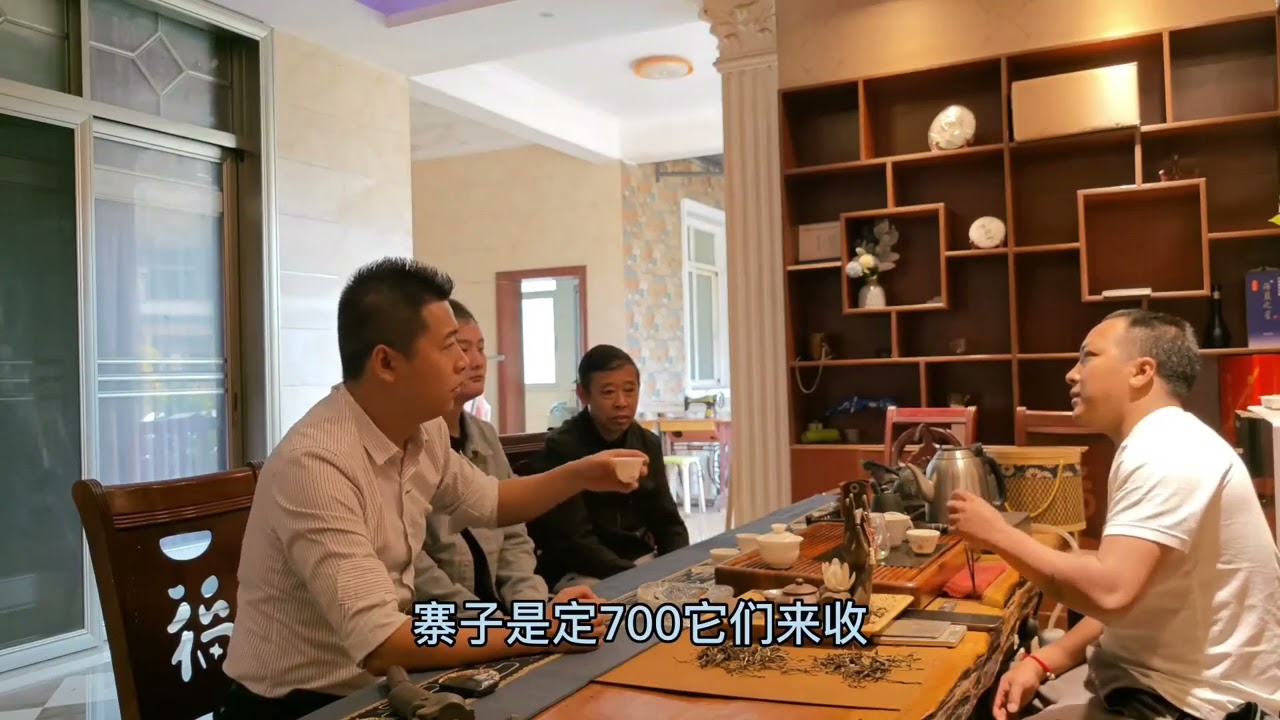 老曼峨全村300多户，产量多大厂都来收，看苦茶与甜茶茶树区别！