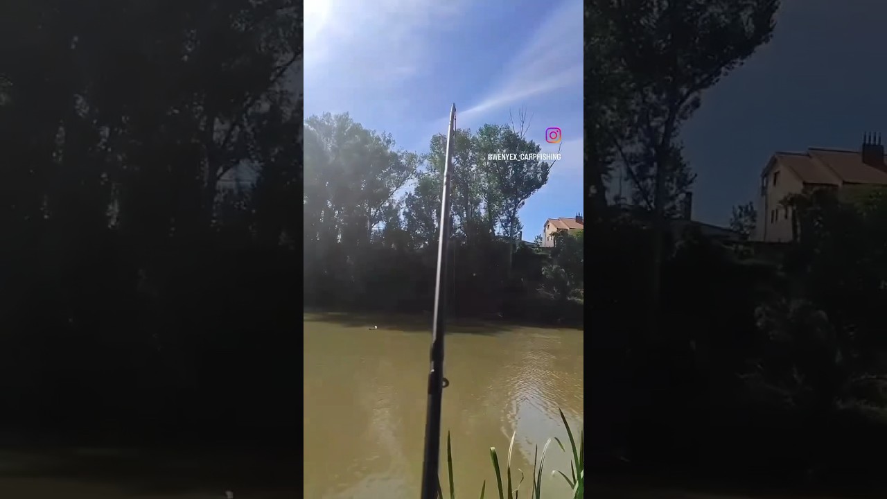 Carpfishing gran picada en el r&iacute;o Pisuerga