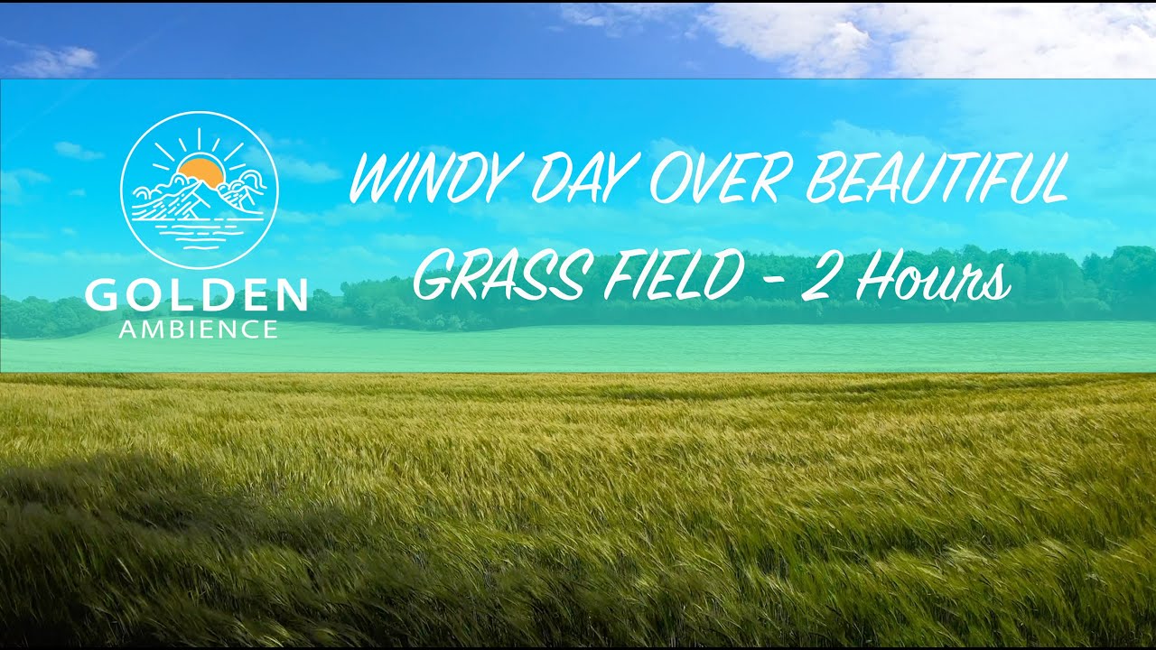 Windy Day Over Beautiful Grass Field - 2 Hours 4K Relaxing Sound