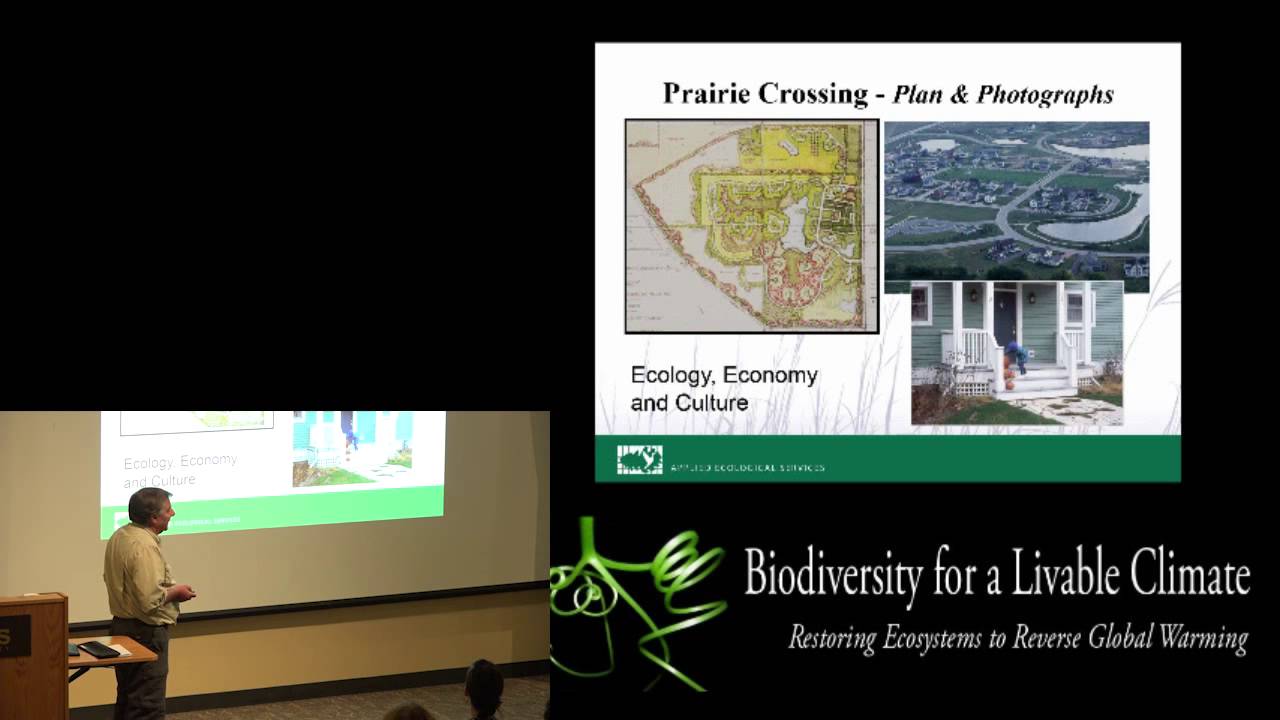 Steve Apfelbaum: Emulating Nature
