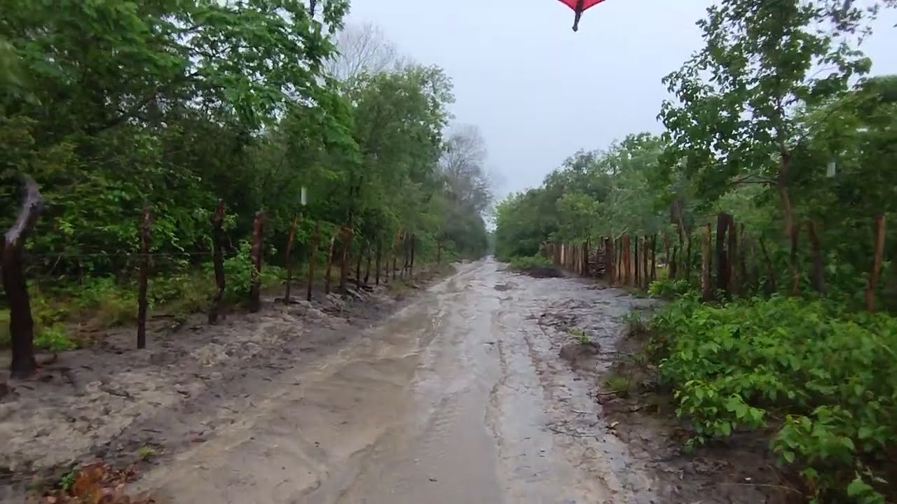 CAMINHADA NA CHUVA