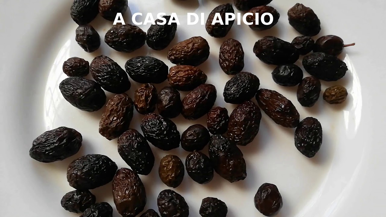 Olive nere sotto sale : metodo antico di nonna