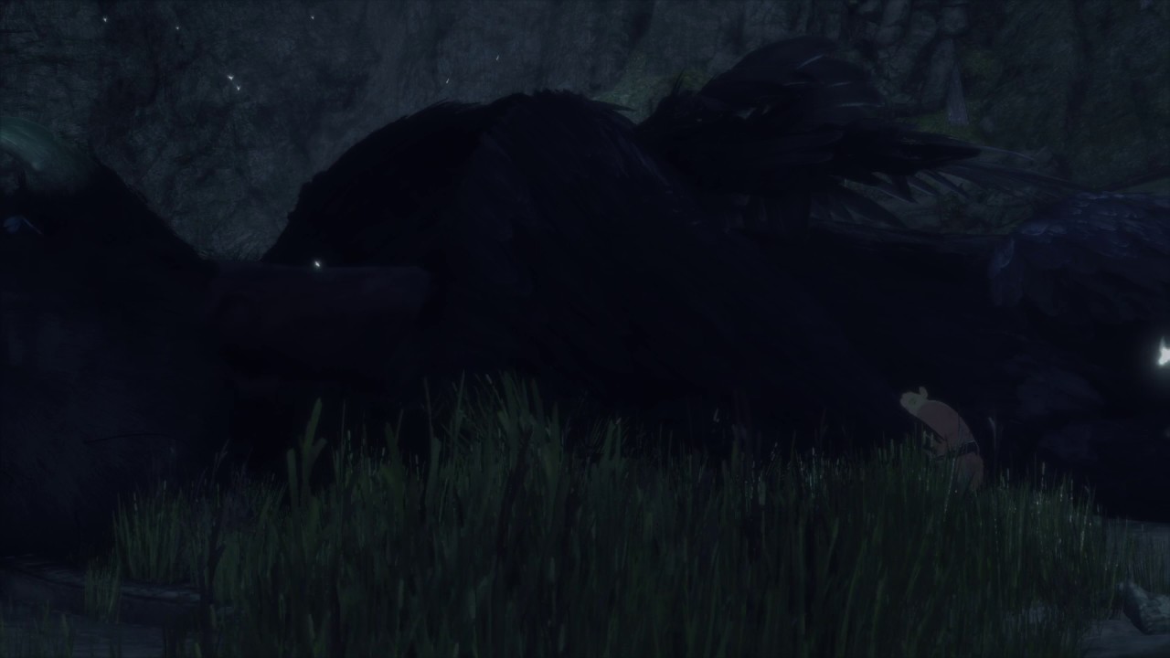 The Last Guardian- A boy & beast sleeping together