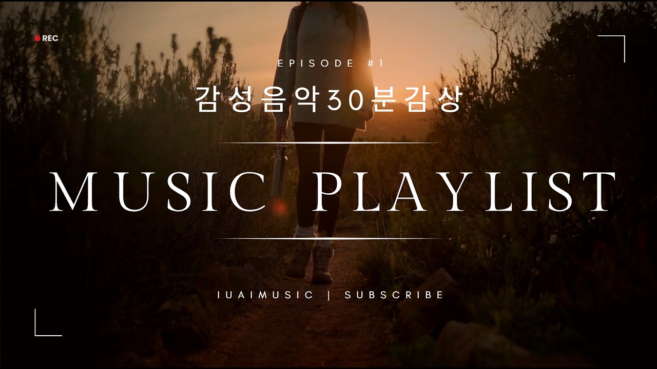 감성음악 카페음악 드라이빙음악 PLAYLIST IUAIMUSIC 30분