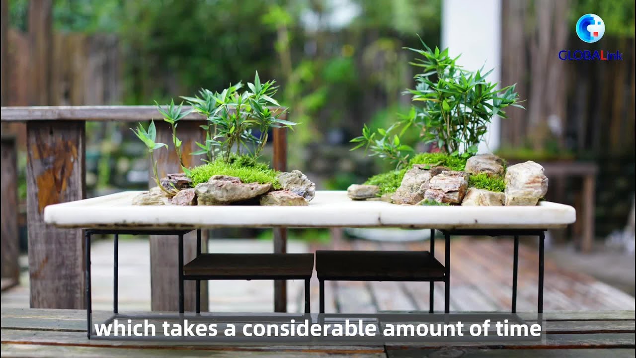 GLOBALink| Sichuan-style Penjing master meets face-to-face with Canadian bonsai artist