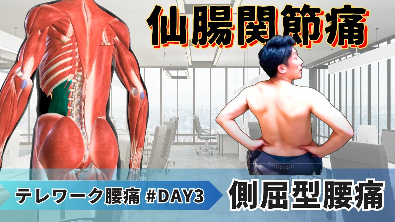 仙腸関節痛といえば「腰方形筋」！！テレワーク腰痛DAY3 側屈型腰痛 の対処法
