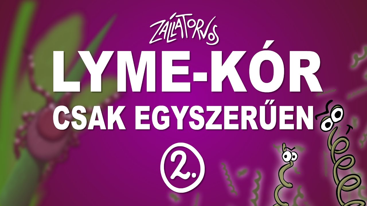 Lyme-kór - csak egyszerűen (2. rész) (ÚJRATÖLTVE)