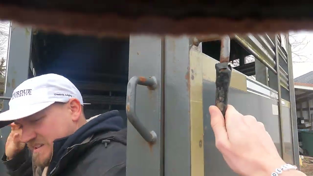 ATV Farms ep #66 Loading lambs 