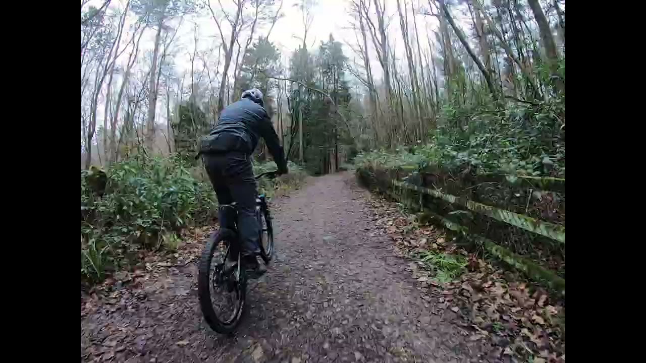 Tilgate Forest, Sunday 11/01/26
