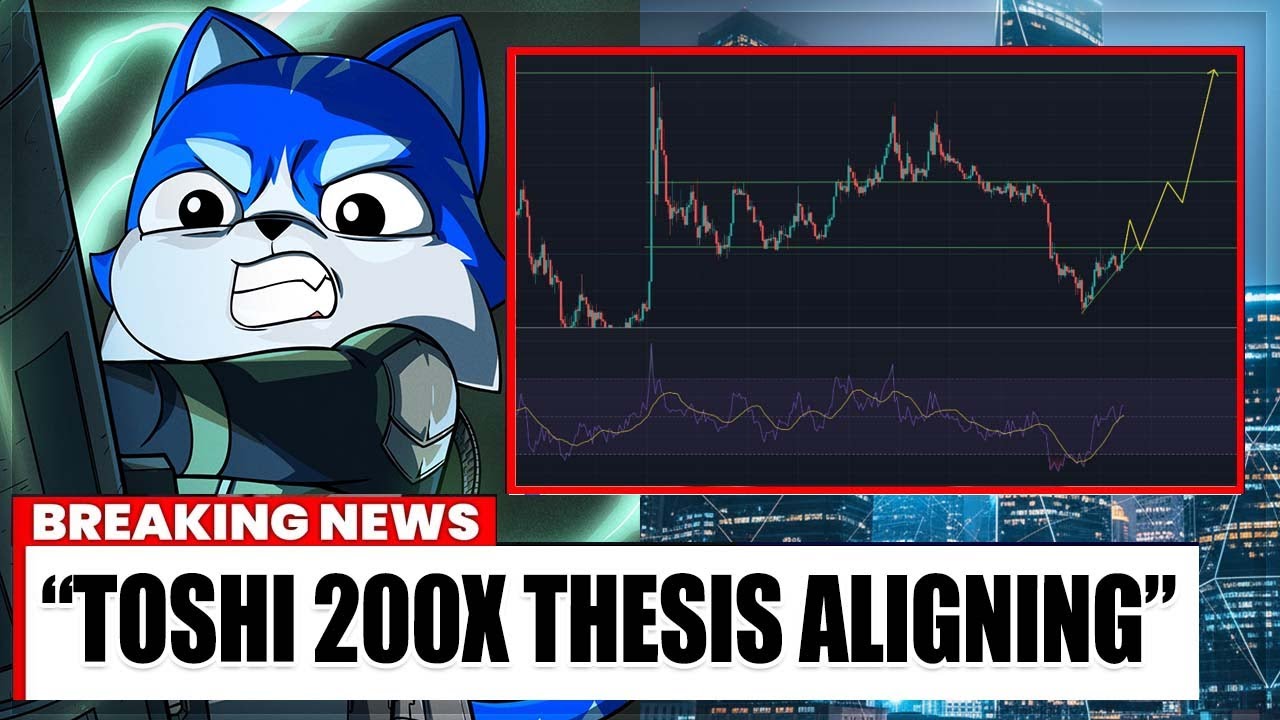 Моя диссертация $TOSHI 200X проходит именно так, как и ожидалось&hellip; 🚀📈