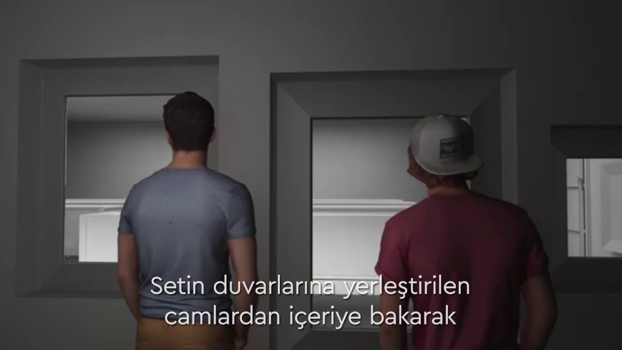 Mat Collishaw 