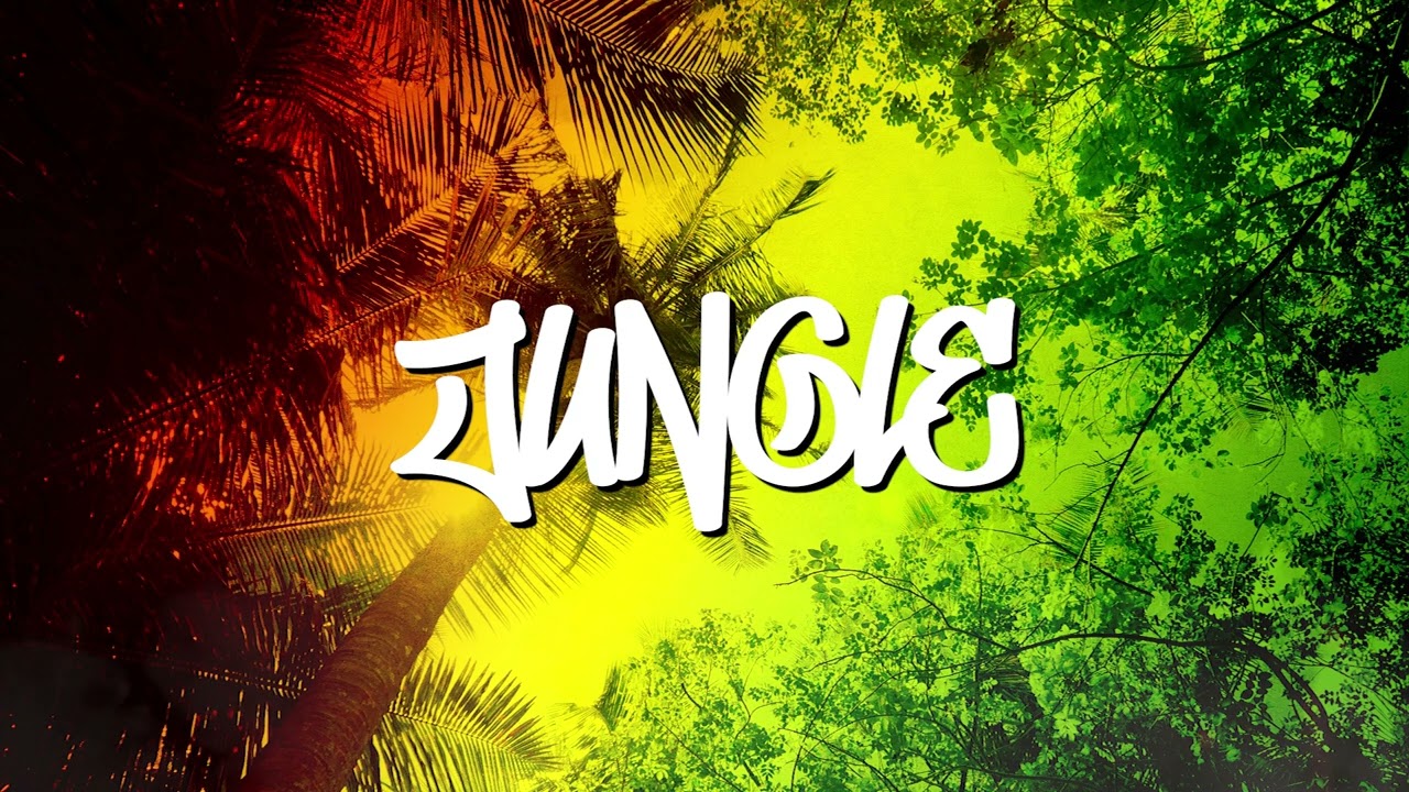 [Free For Profit] Drum and Bass / Reggae Type Beat 