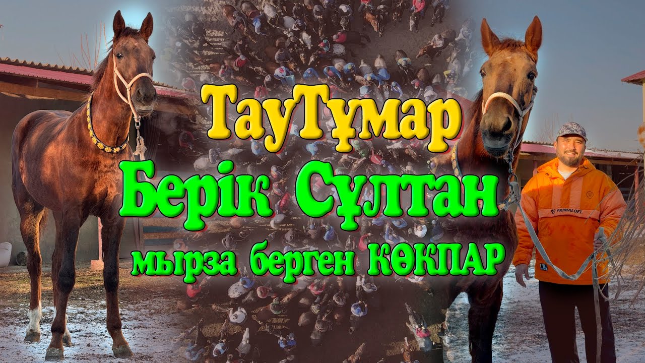 БЕРІК СҰЛТАН МЫРЗАНЫҢ ҚАЗЫҒЫНА БІТКЕН ТАУТҰМАРДЫҢ КӨКПАРЫ ШЫМКЕНТ ҚАЛАСЫ ОРТАЛЫҚ ИППОДРОМ 2024ЖЫЛ