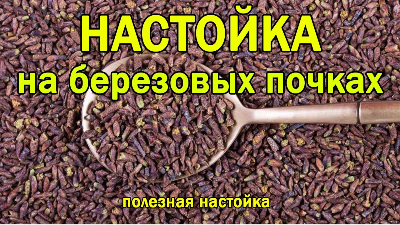 Настойка на берёзовых почках. Настойка на березовых бруньках. Березовые почки на водке. Рецепт.