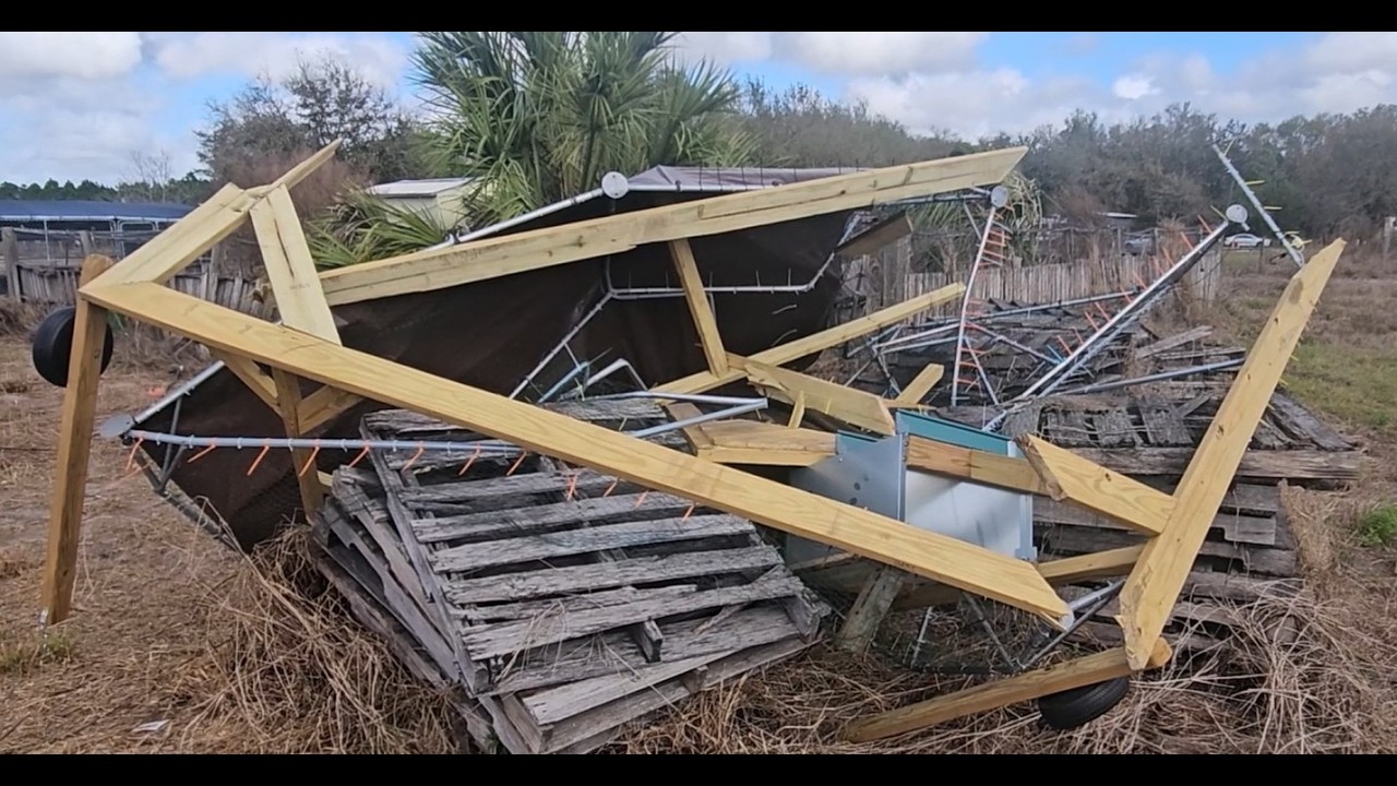 Temu Chicken Coop, Final Thoughts and Storm Cleanup