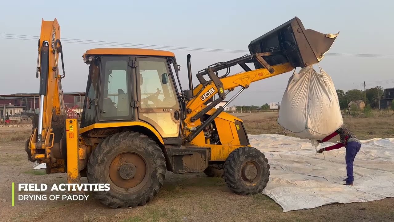 Inside the Day-to-Day Life at Ghana's Largest Rice Farm