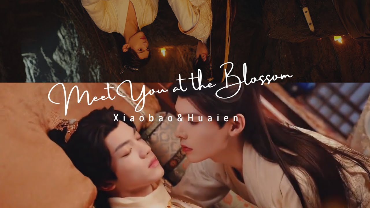 [BL] Xiaobao & Huaien|| Hidden Hopes|| Meet You at the Blossom| MV