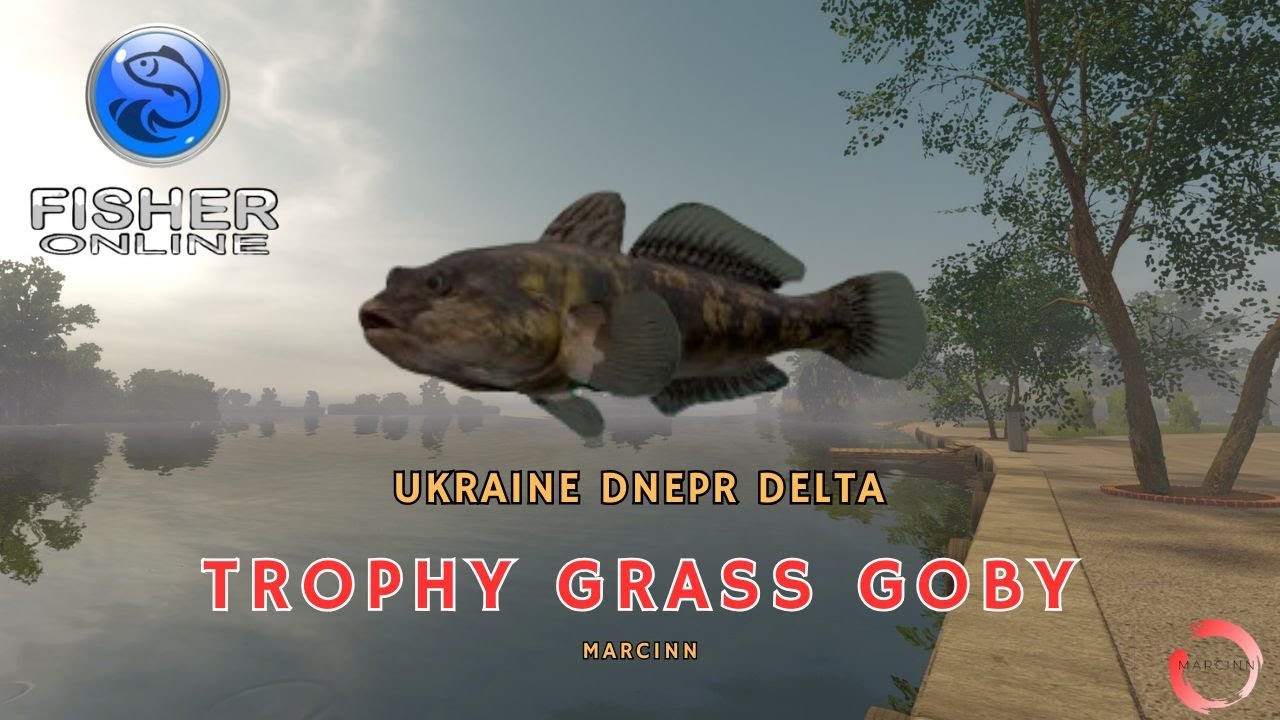 Fisher Online: You Won&rsquo;t Believe What&rsquo;s Hiding in Ukraine&rsquo;s Dnipro Delta! 😱 (Grass Goby Catch)