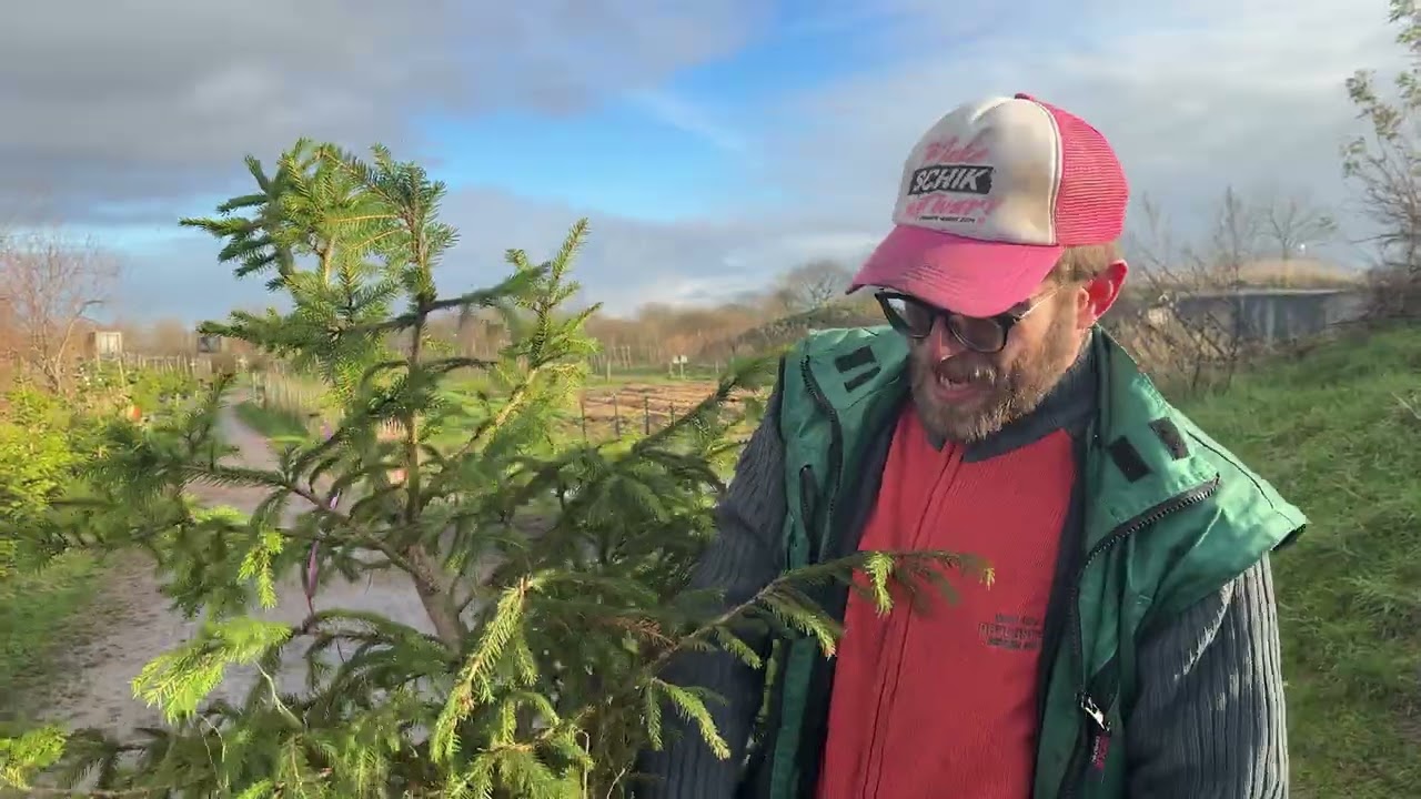Fruittuinfilmpjes Adopteer een Kerstboom