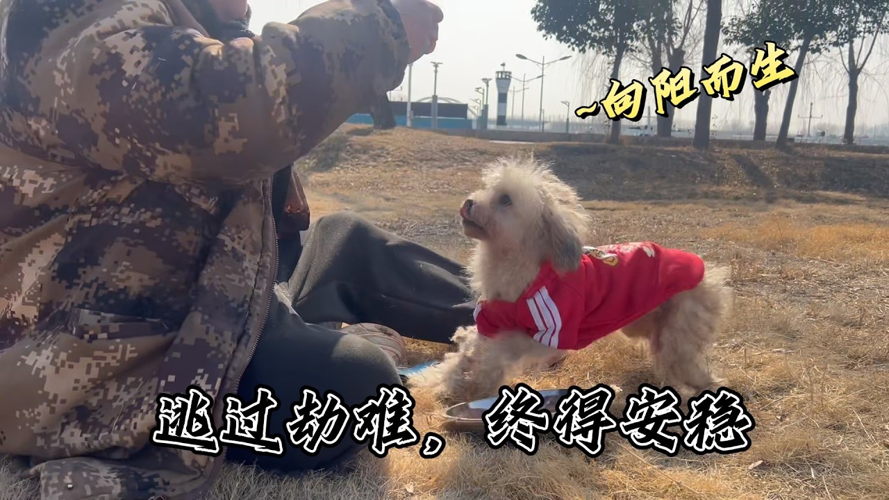 曾在恐懼中逃亡，如今，在小院被溫柔照亮