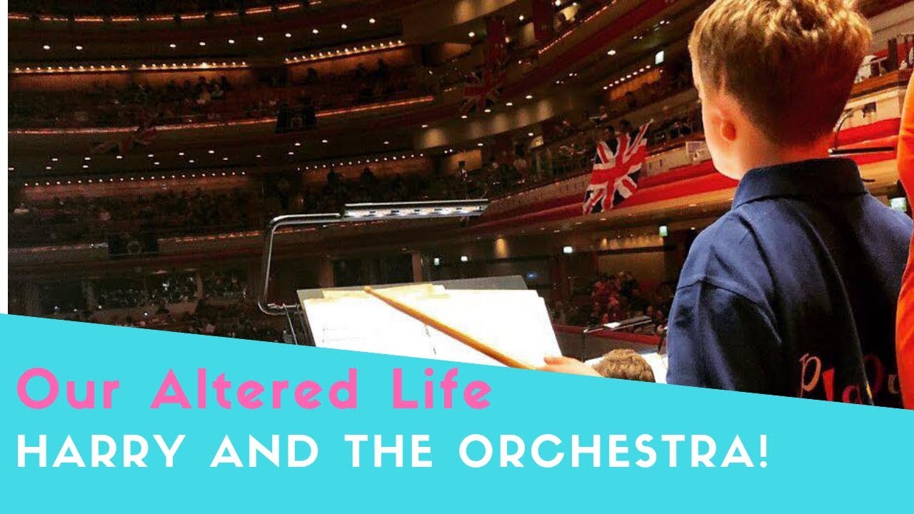 Harry and the Orchestra