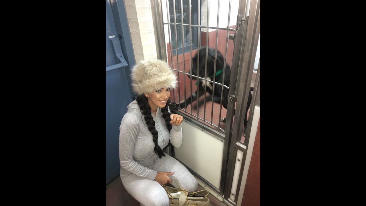 our trip to the dogs home , Chloe Khan
