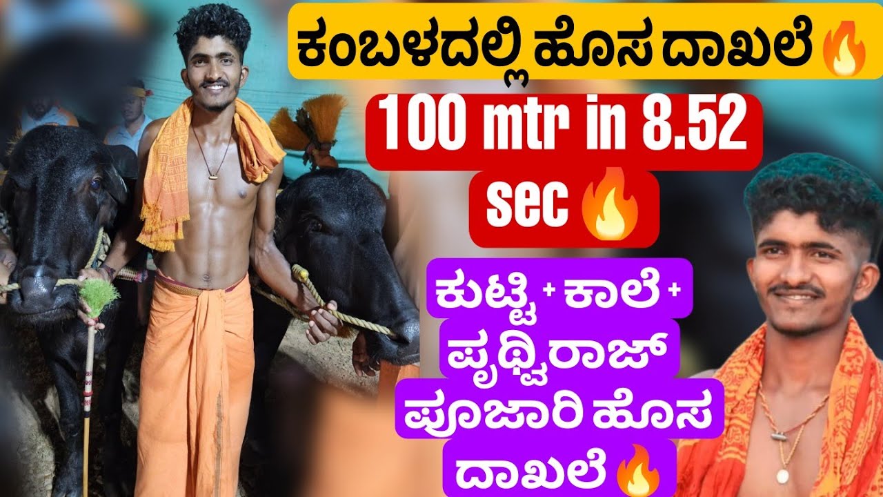 New record in Kambala ‼️🔥100 mtr in 8.52 sec🔥 ಕುಟ್ಟಿ + ಕಾಲೆ + ಪೃಥ್ವಿರಾಜ್ ಪೂಜಾರಿಯವರಿಂದ ಹೊಸ ದಾಖಲೆ‼️