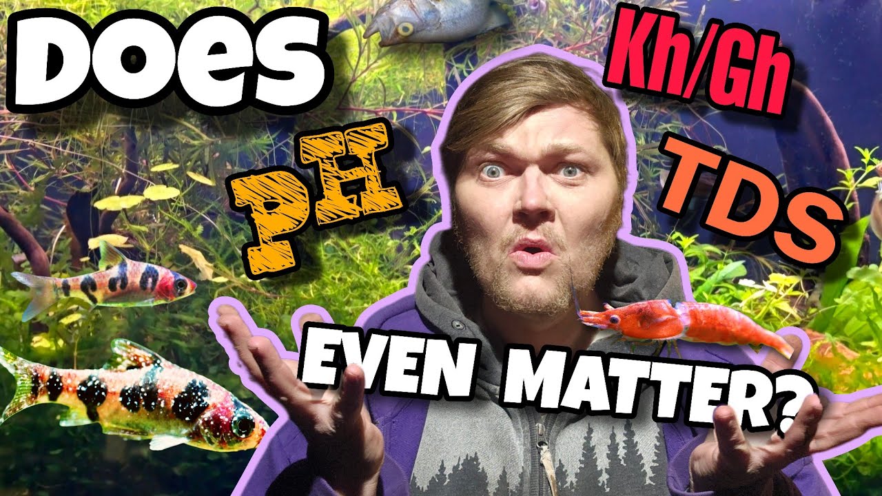 PH, Gh, Kh & TDS: What Every Shrimp & Fishkeeper Needs to Know: Water Parameters Made Simple & Easy!