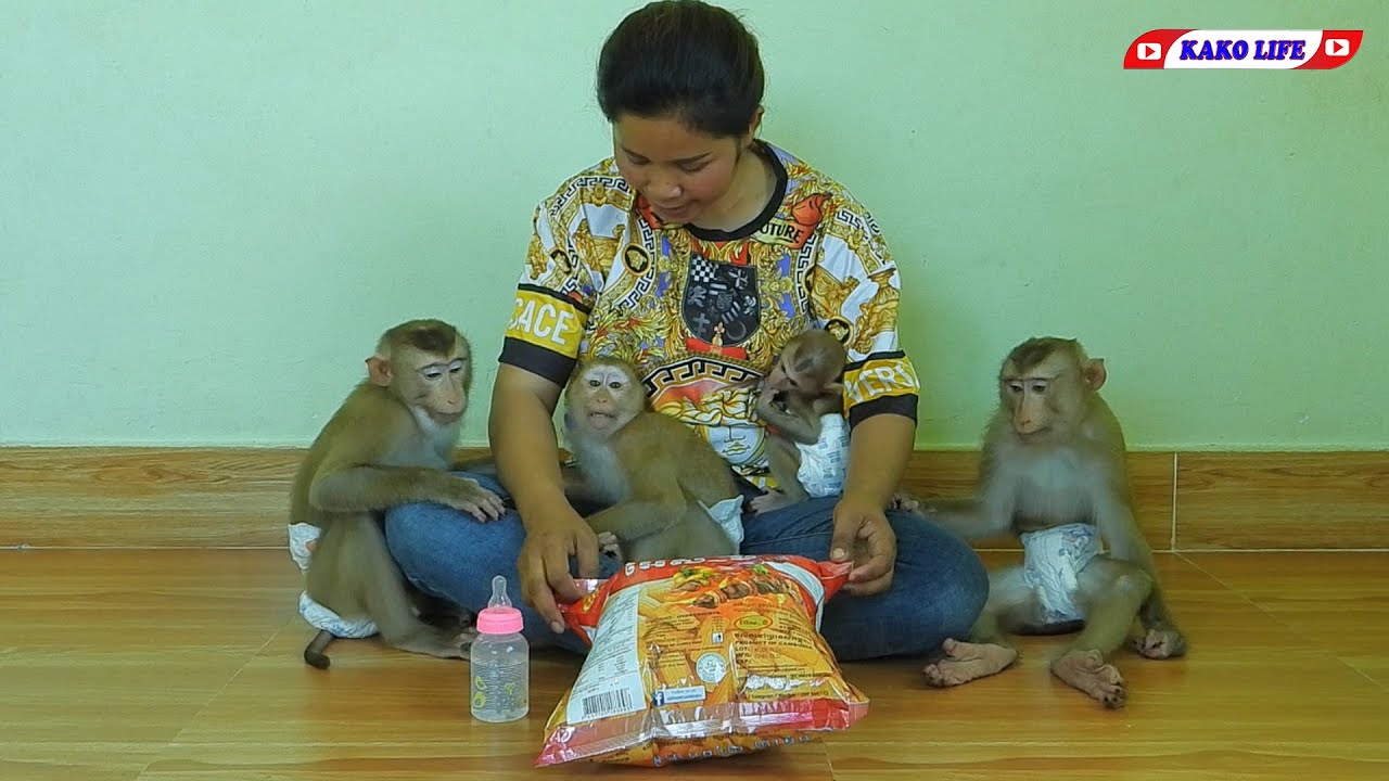 Smart Little Kako Family Eating Snack