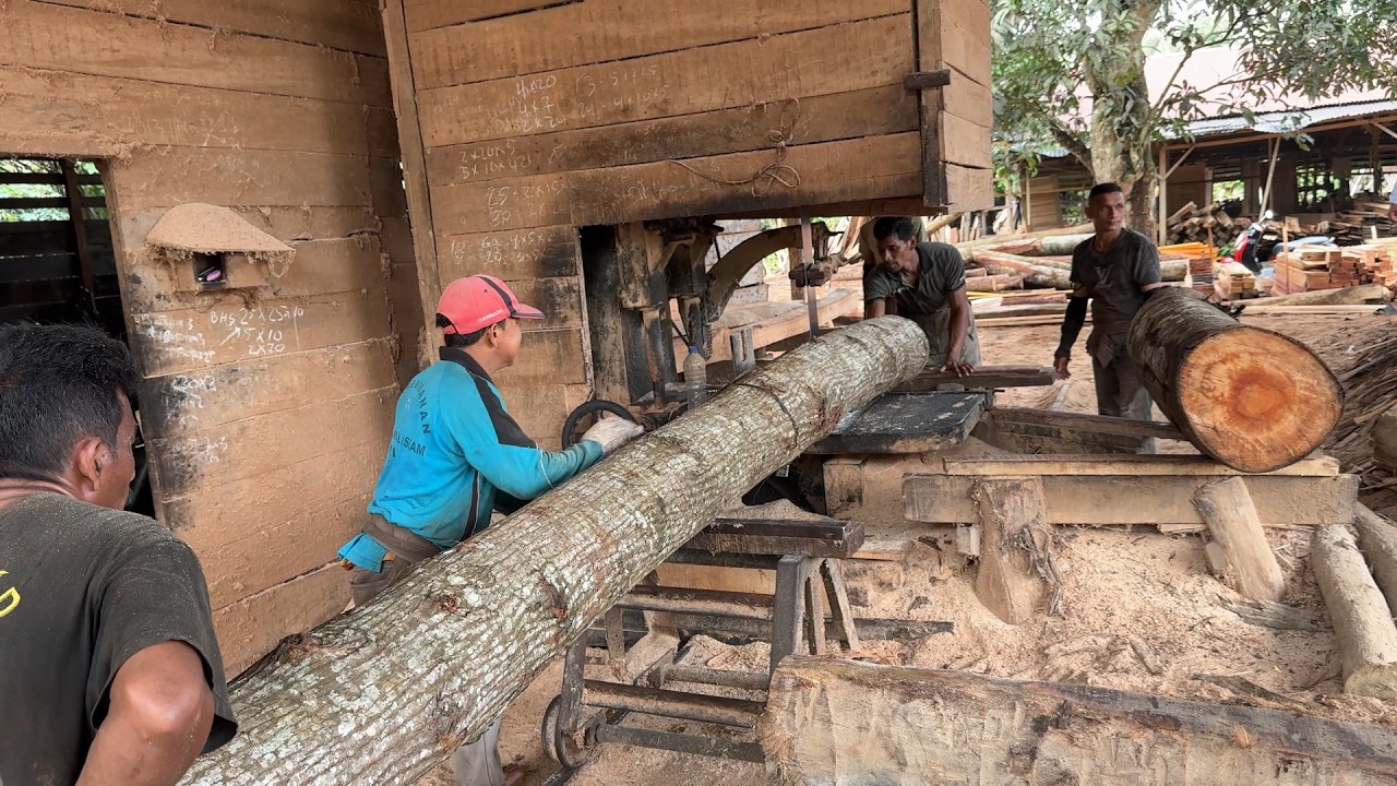 2x20 Wood Cutting Technique with Sawmill Machine