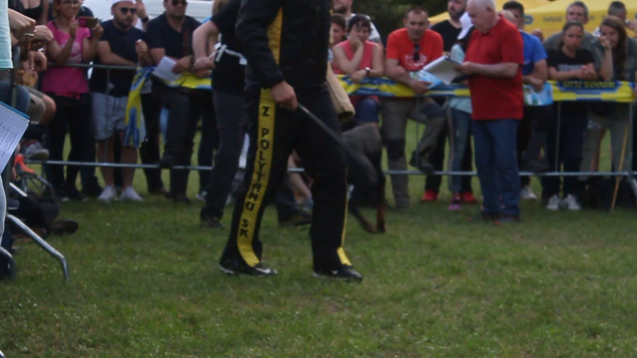 ZENHON DI PRISCONTE - AIAD Campionato 2019