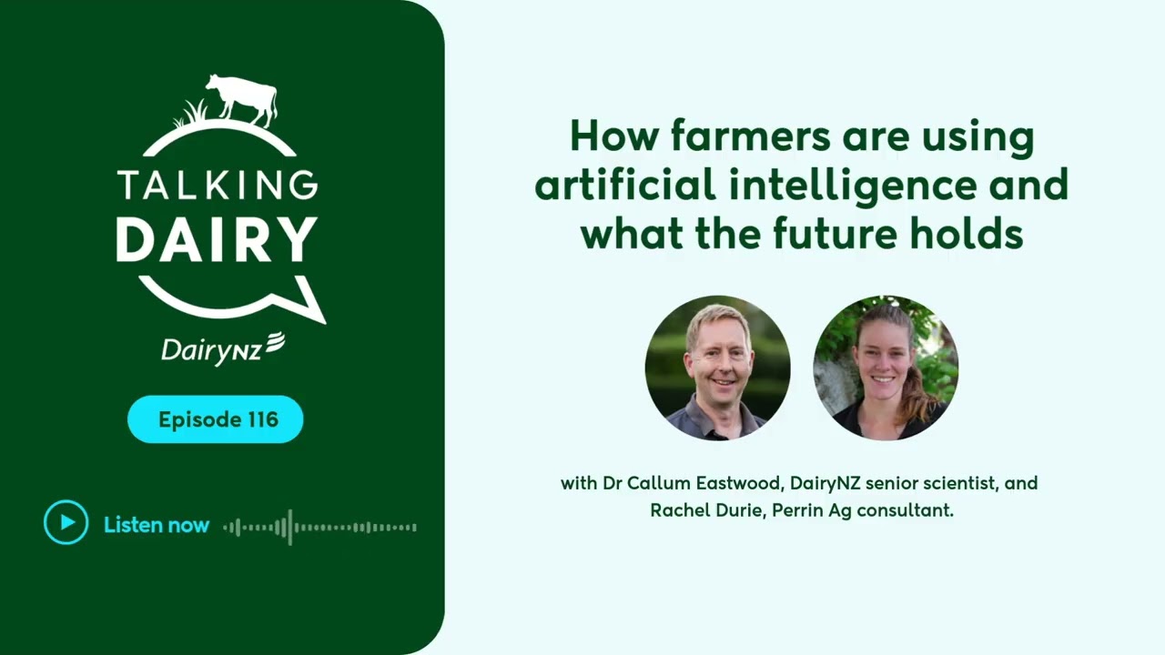 Talking Dairy: How farmers are using artificial intelligence and what the future holds | Ep. 116