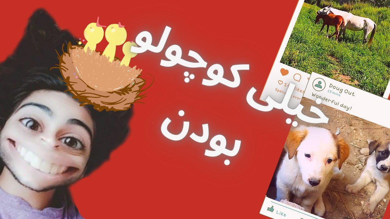 خیلی گرسنه بودننننن☘️☘️/ناندل