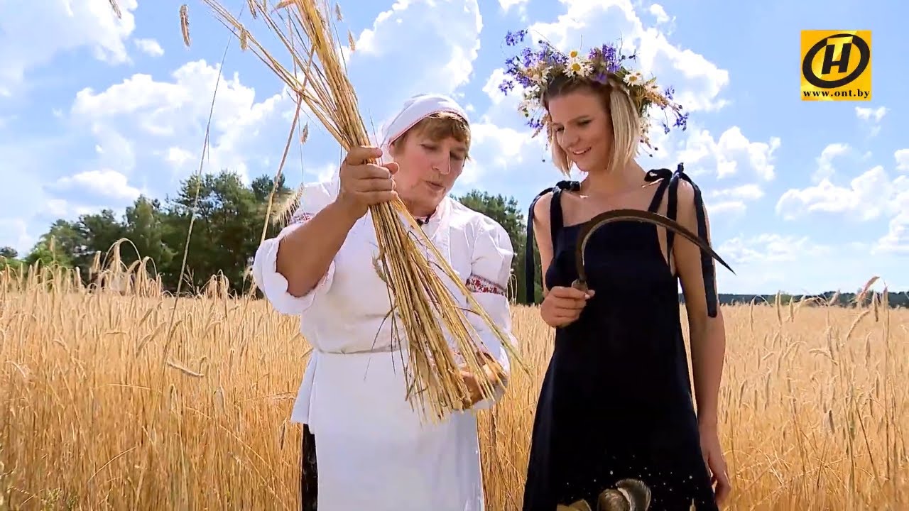 На комбайне или с серпом? Анжелика Пушнова и Александр Рогожинский разбирались в способах жатвы