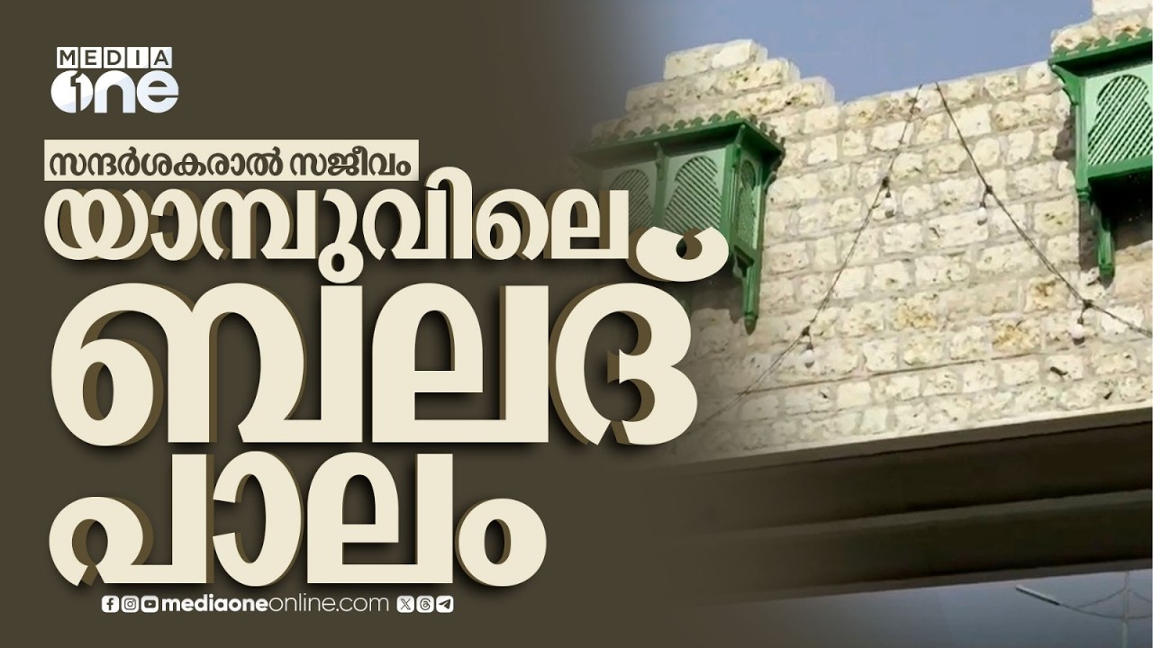 സന്ദർശകരാൽ സജീവം; യാമ്പുവിലെ ബലദ് പാലം