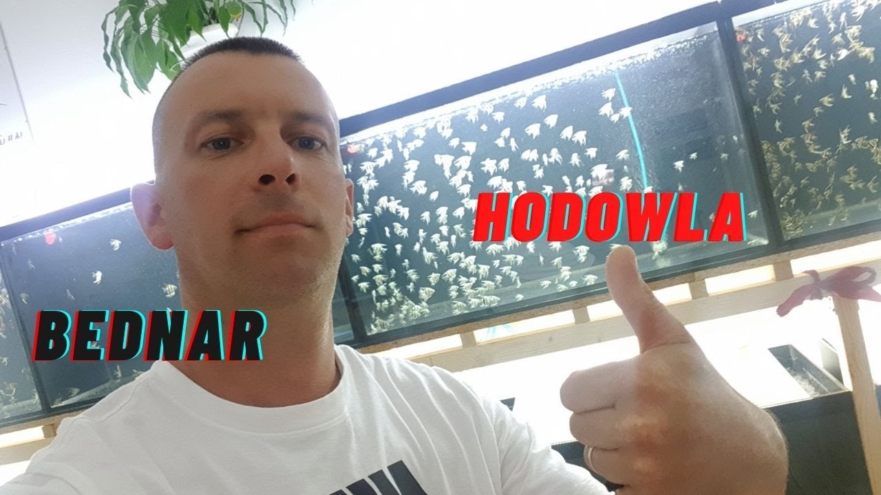 Hodowla się rozwija Update co tu słychać.