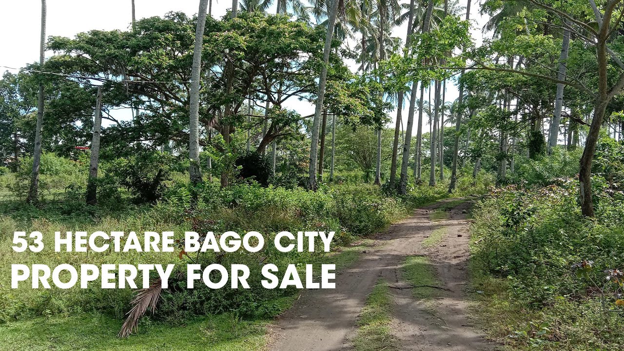 53 Hectare Bago Farm And Beach Lot For Sale