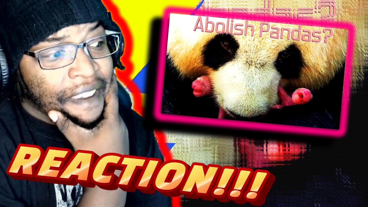 Should We Let Nature Finally Delete Pandas? - Casual Geographic / DB Reaction