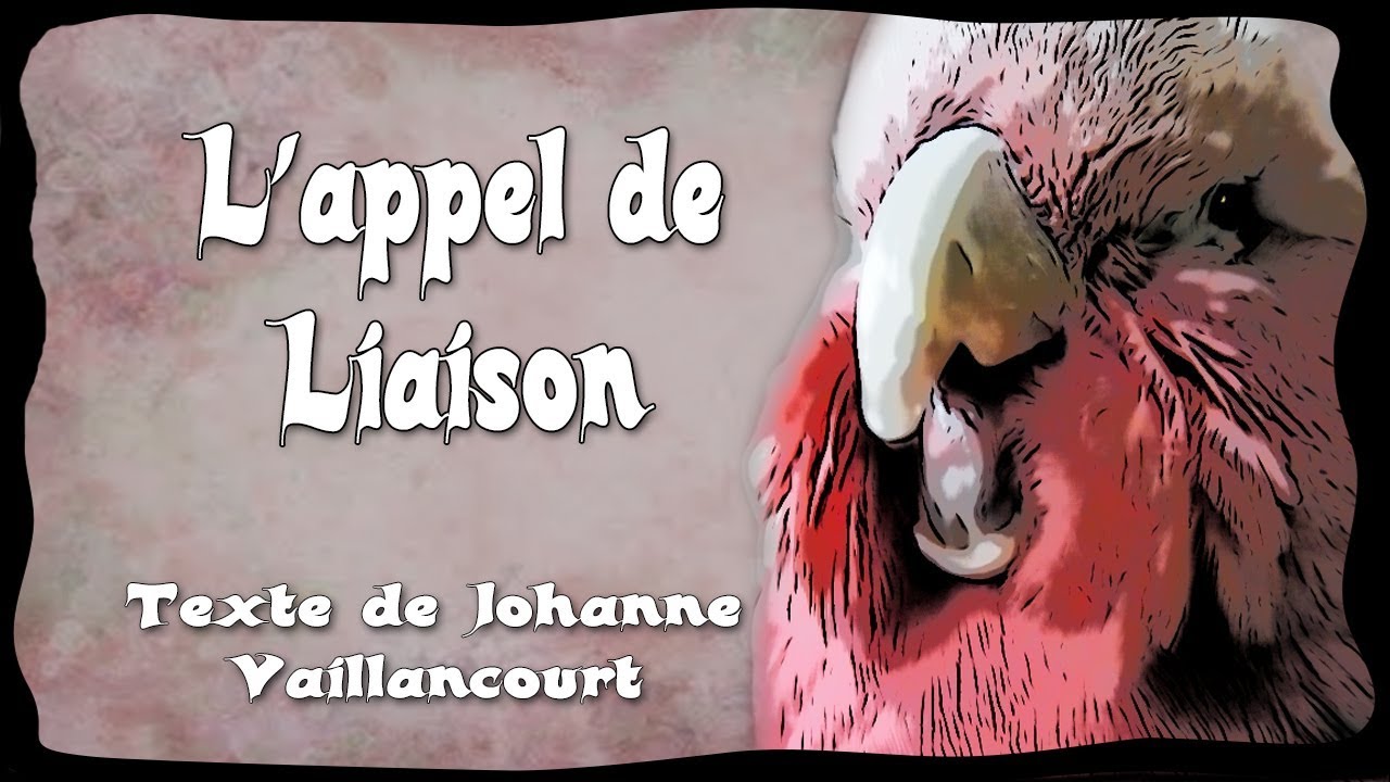 Les Appels de liaison du perroquet - Selon le texte de Johanne Vaillancourt