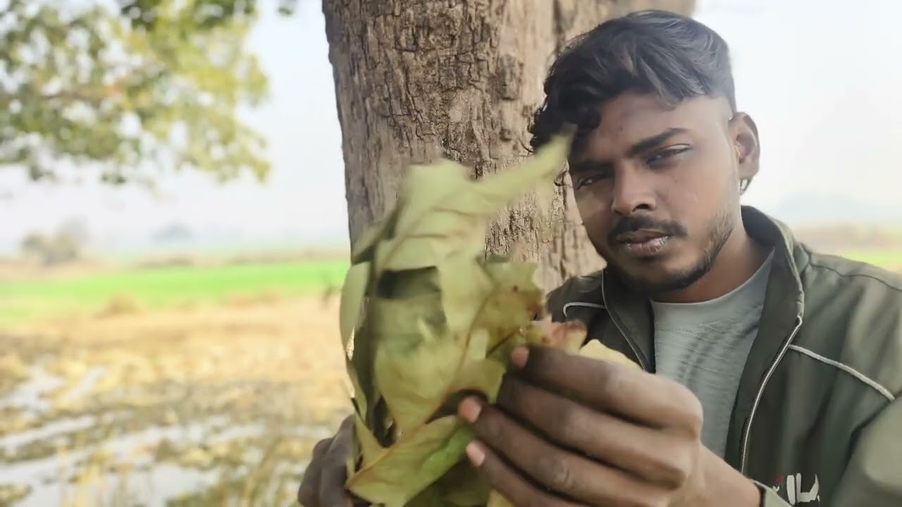 ASMR india vs new video trees massage sound wood 
