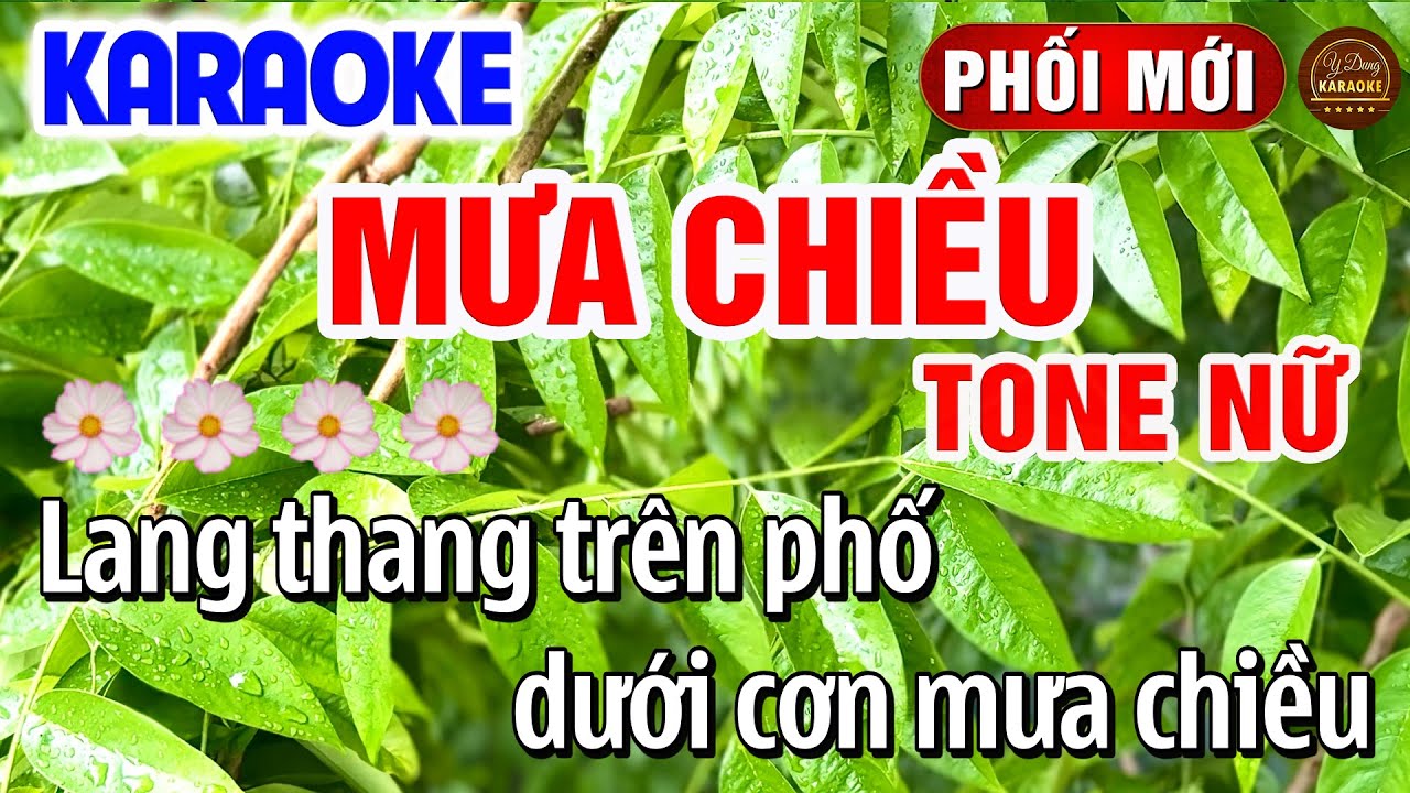 Mưa Chiều Karaoke Tone Nữ Nhạc Sống Hay Nhất 2025 | Y Dung Karaoke
