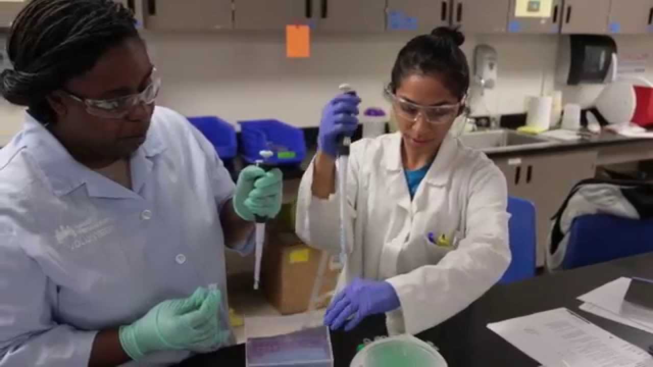 Biotechnology at American River College