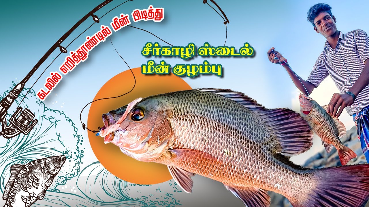 சீர்காழி ஸ்டைல் மீன் குழம்பு கடலில் எறித்தூண்டில் வைத்து பிடித்த பல மீன்கள்| Fishing in bait casting