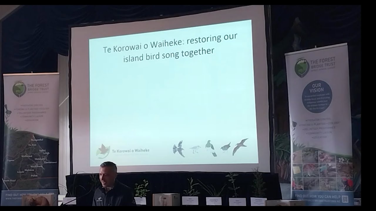 Transforming Waiheke into another predator-free island in the Hauraki Gulf.