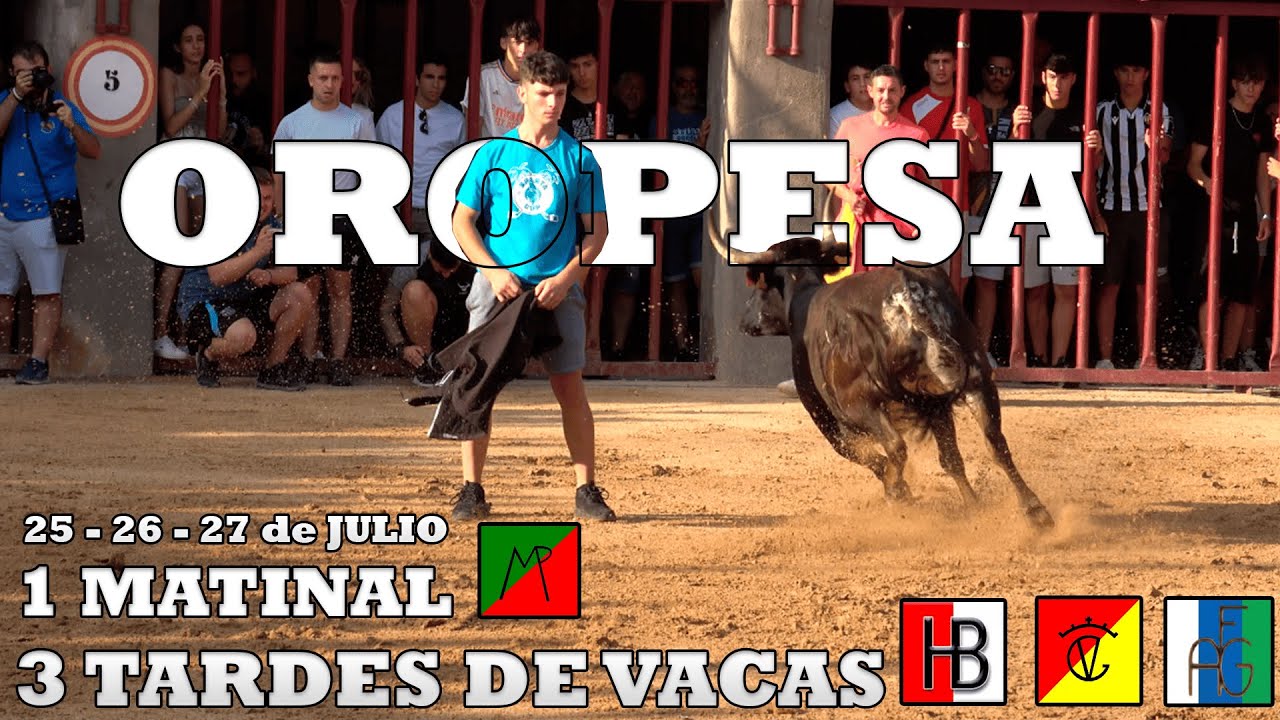 4K - OROPESA FINDE COMPLETO - 3 TARDES DE VACAS Y UN MATINAL - 25-26-27 de JULIO